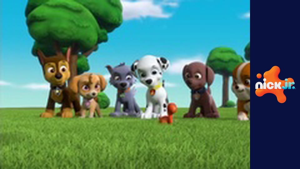 Psi patrol S7E15 - Pieski ratują burmistrzów rozbitków / Pieski ratują teleturniej