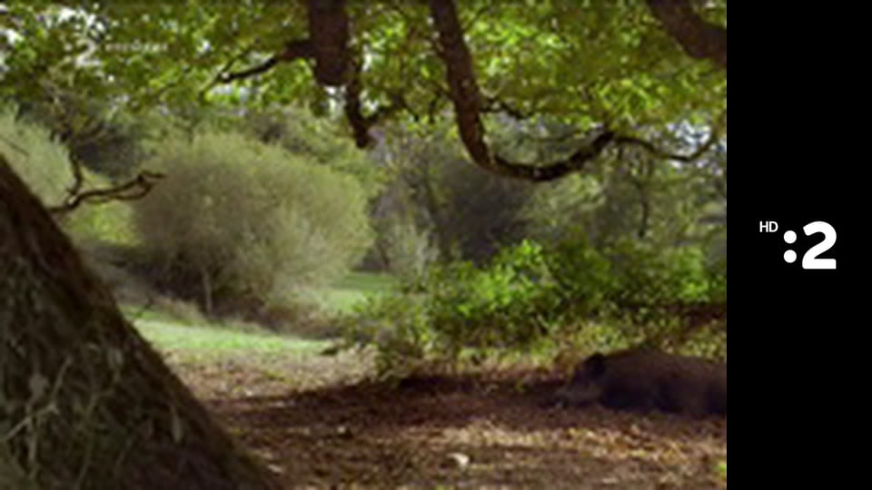 Zázračný miniateliér E102 - Hodiny na zjedenie