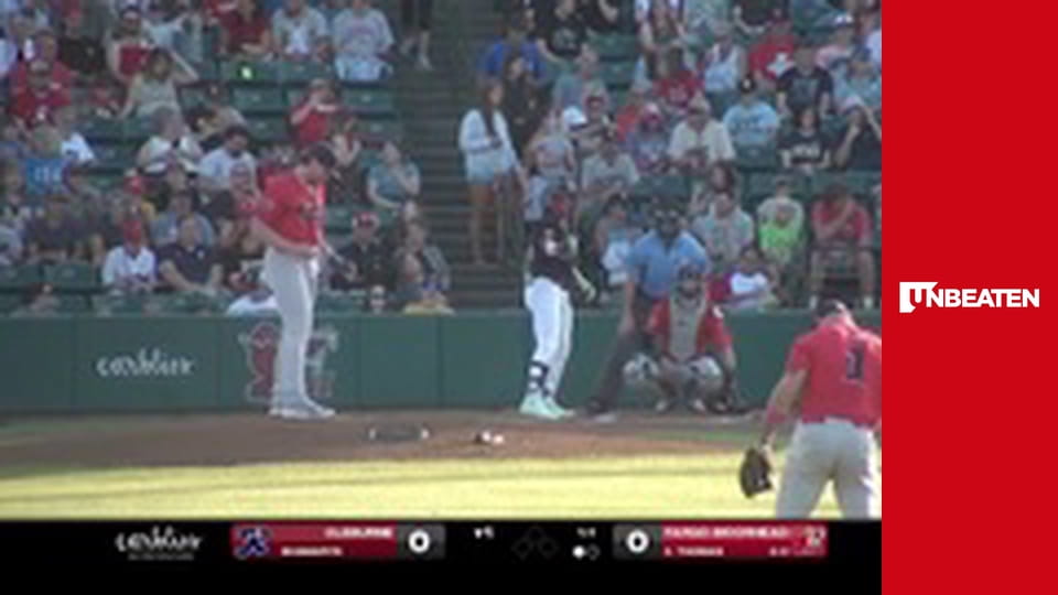 American Association of Professional Baseball