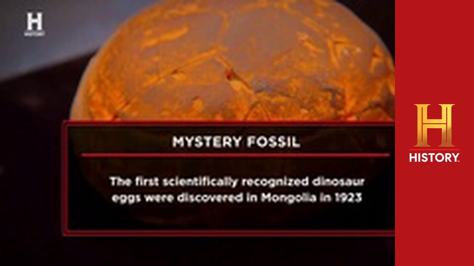 Звезды ломбарда, 25 сезон, 9 эп. Бароны ломбарда.