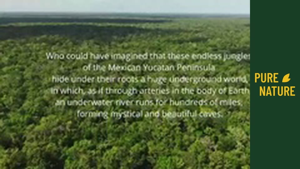 Mexican Underwater Caves: Incredible Underwater World