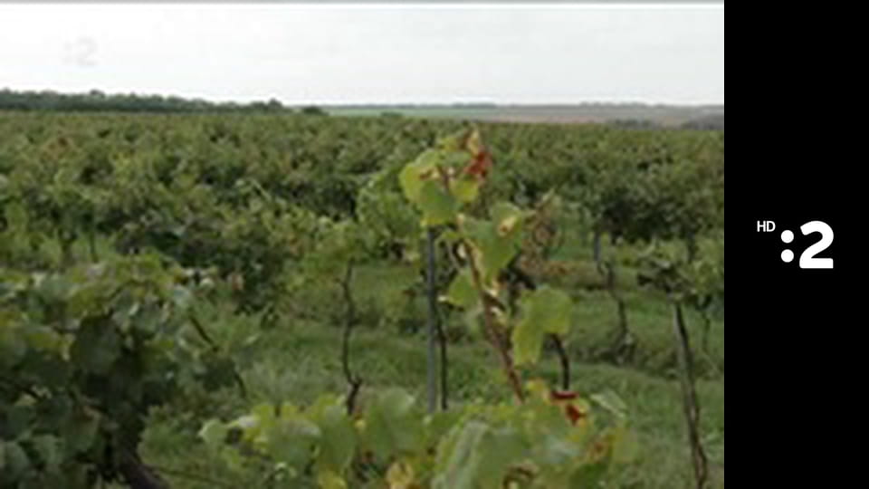 Família E16 - Slobodne SPOLU