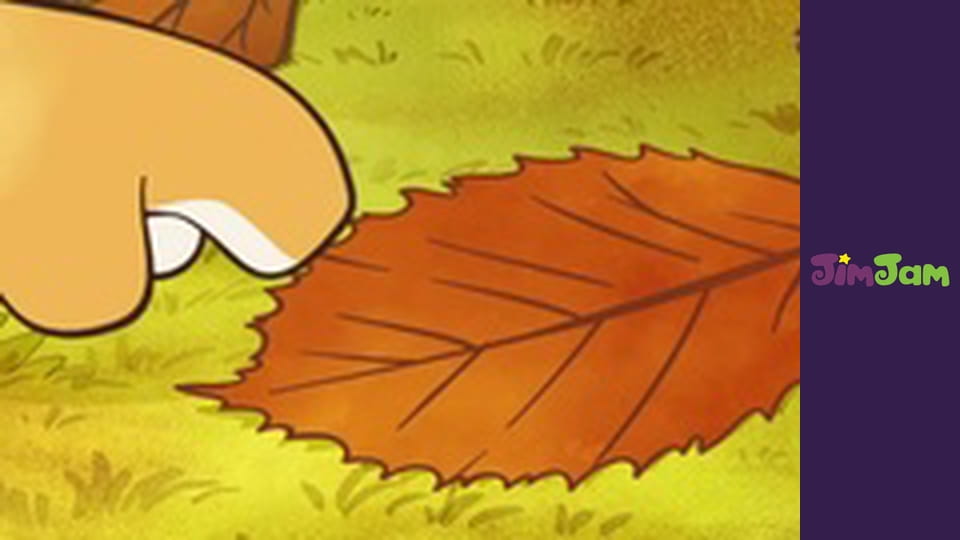 Találd ki, mennyire szeretlek! S2E9 - A gyűjtemény