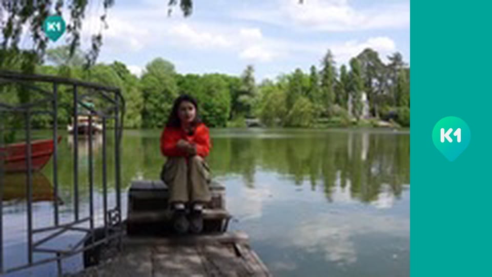 "Орел і Решка. Дайджест".