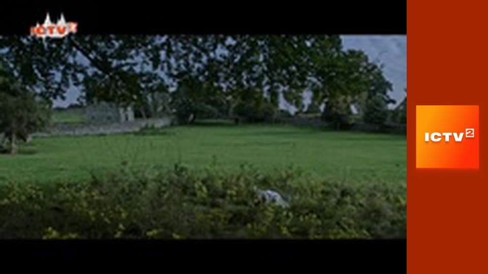 Т/с "Два с половиной человека".