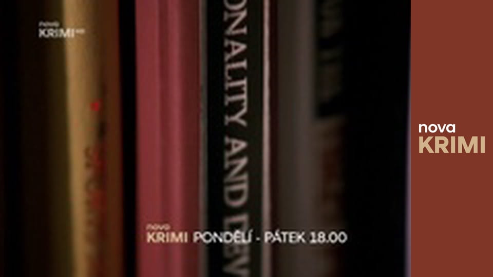 Myšlenky zločince S11E11