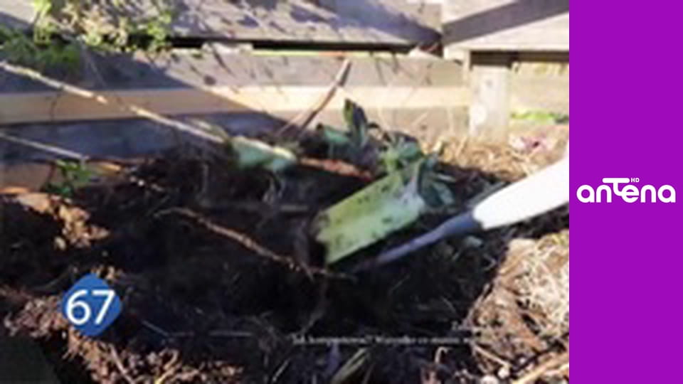 77 TV S3E13 - Przypadki modowe i zaskakujących trendów