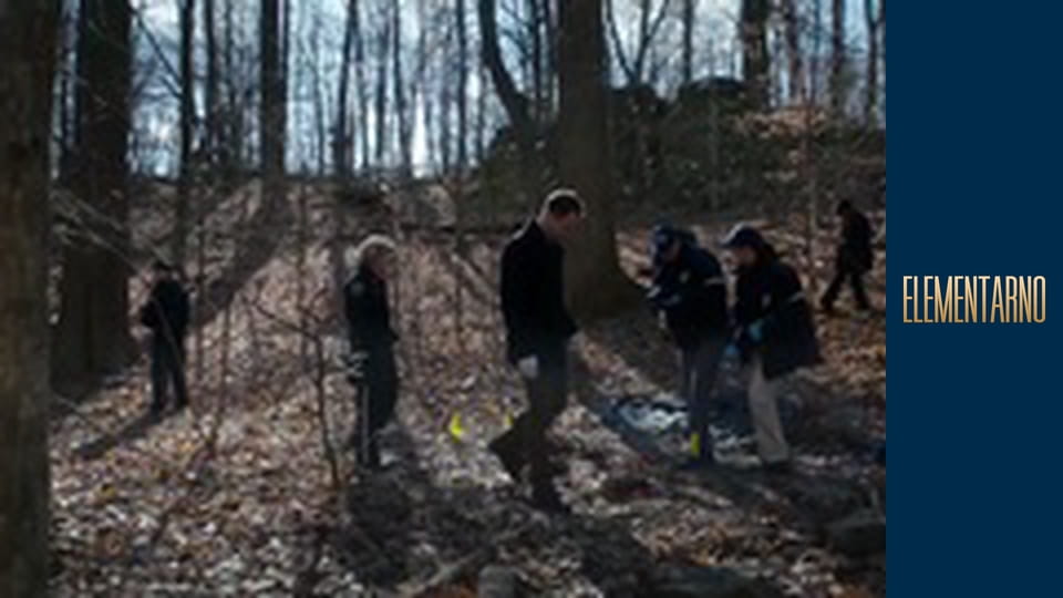 Елементарно Сезон 5 Епізод 12