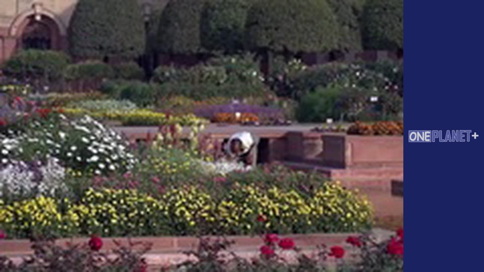 Исламский Дизайн Сада - cерия 2