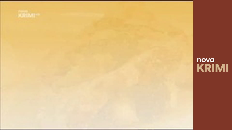 Myšlenky zločince S11E19