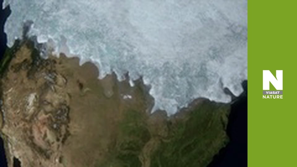 Great Lakes Untamed - Marvels and Mysteries