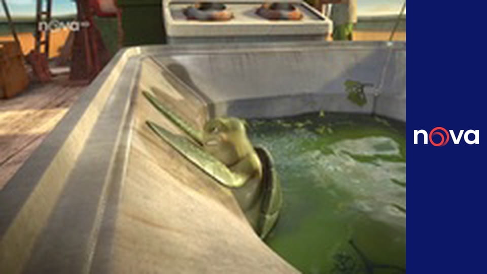 Sammyho dobrodružství 2