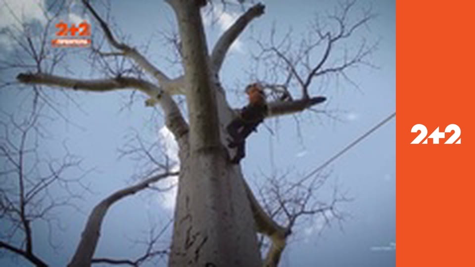 Загублений світ