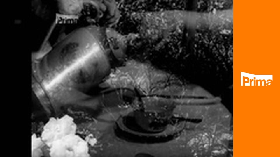 Eva tropí hlouposti