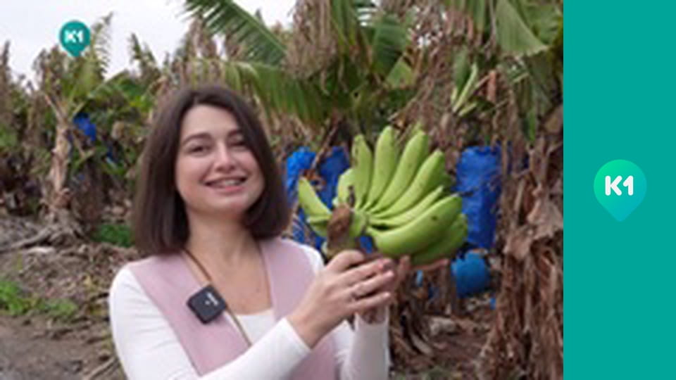 "Світ_огляд с Машей Себовой".