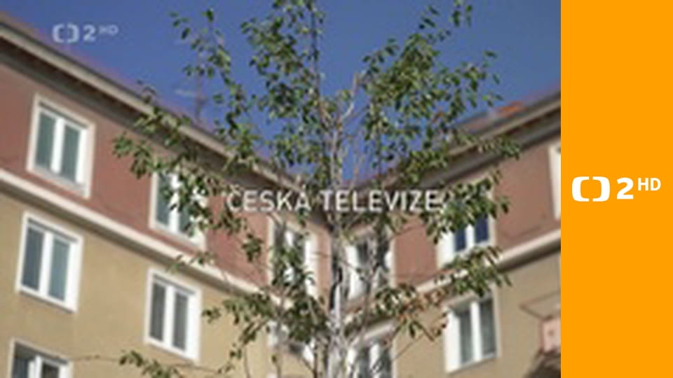 Nedej se - Muž, který zalévá stromy