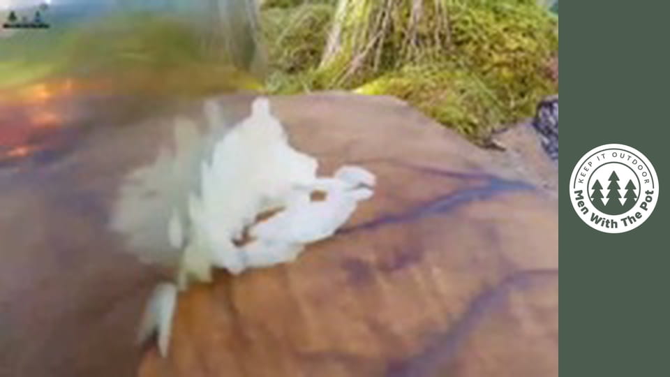 Mastering Wilderness Breakfasts