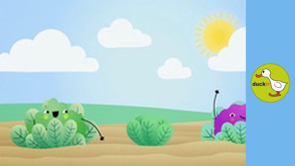 Happy Garden - Cauliflower