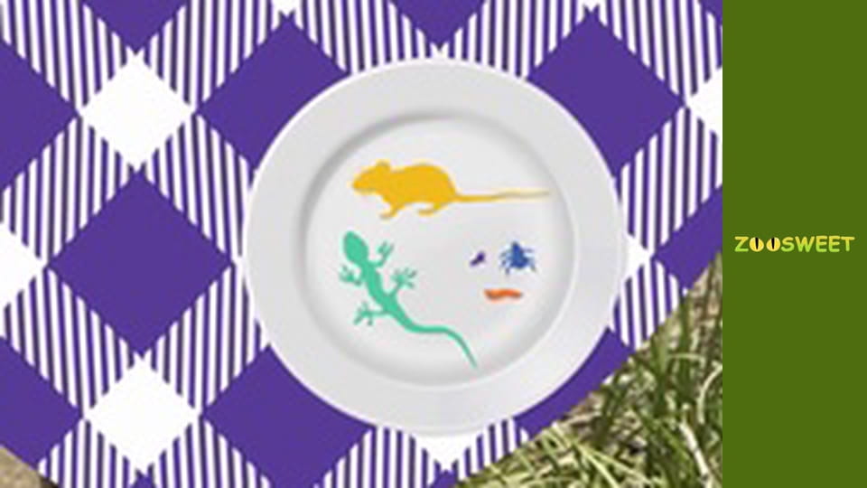 Wild Wonders at the San Diego - episode 14