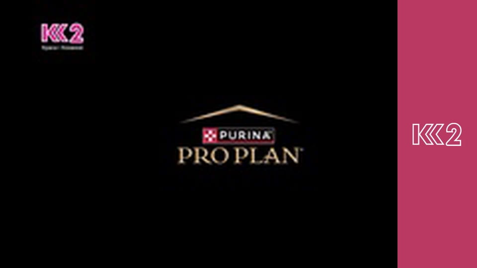 Сімейний суд E4 - З неба на землю