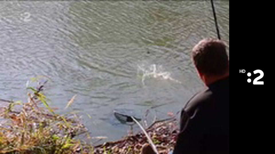 Na zelenej adrese E12