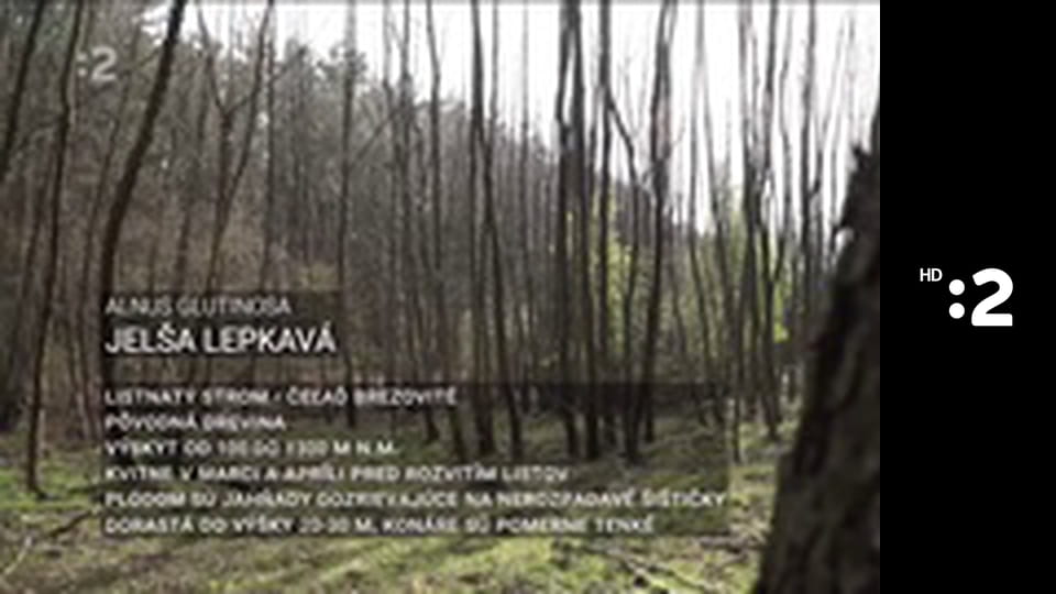 Zázračný miniateliér E102 - Hodiny na zjedenie