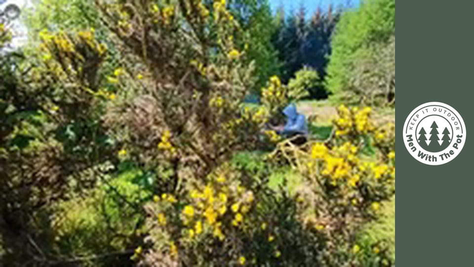 Giant XXL Sandwich with delicious Steak