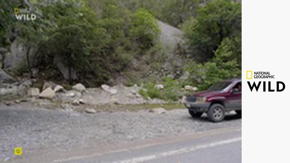 Deset nejnebezpečnějších hadů S3E3 - Mexiko