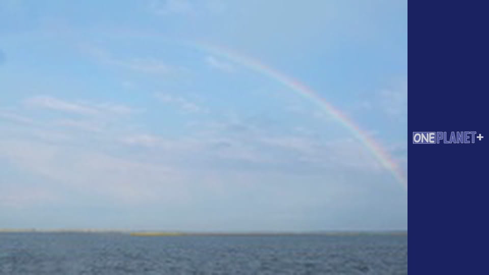 Nature's Force, Season 1, Episode 4