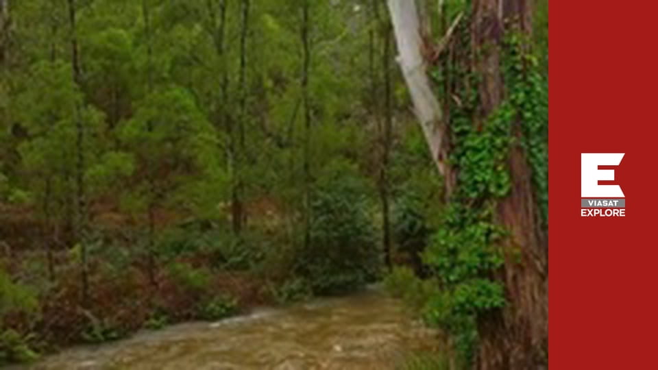 Aussie Gold Hunters - Season 7 Episode 6