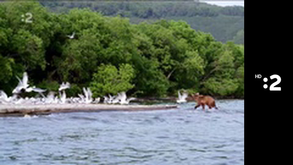 Slimák Maťo a škriatok Klinček E10 - Ako Maťo s Klinčekom prehrali guľky