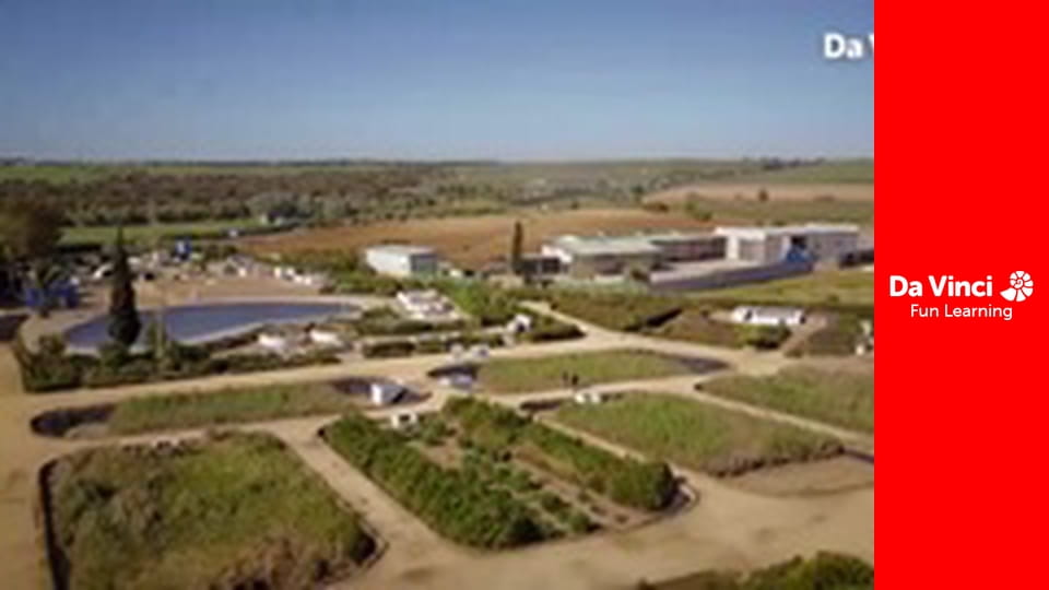 Футурис - 3D в воздухе