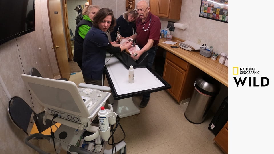 Невероятный доктор Пол S24E1