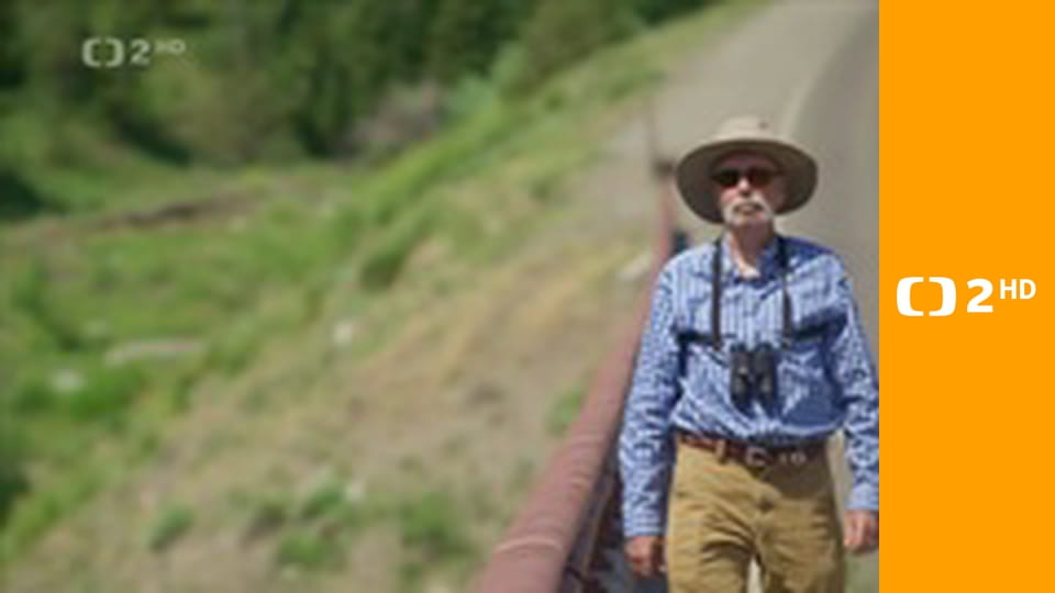 Zvířecí odysea E2 - Cesta severoamerického medvěda