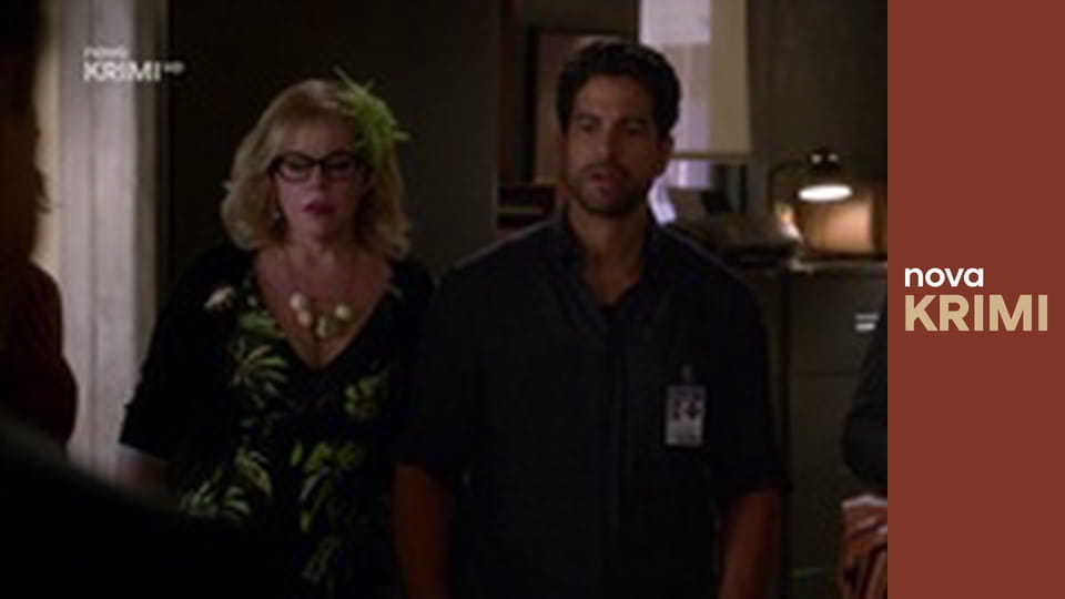 Myšlenky zločince S12E6