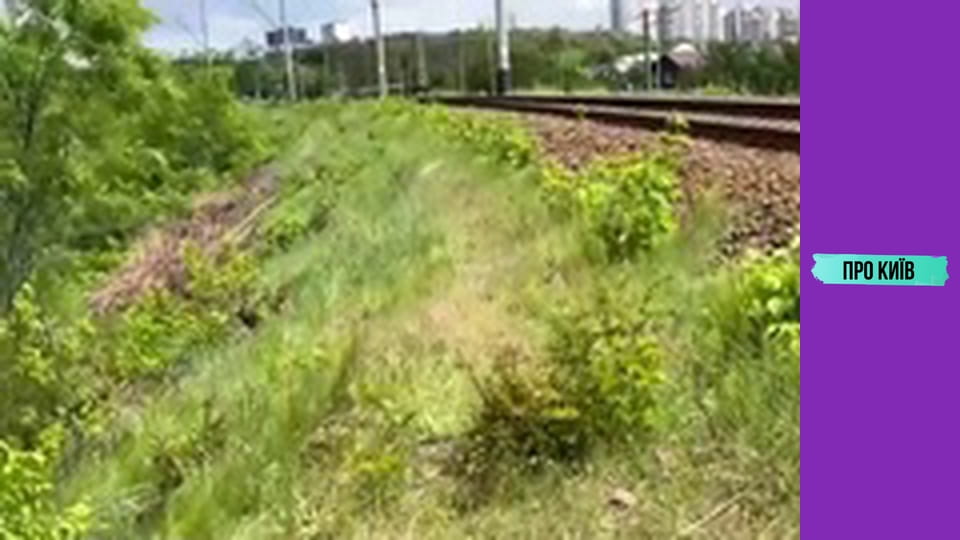 Околиці Дарницького вокзалу.