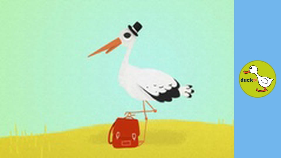 Nature Dudes - Migratory Birds