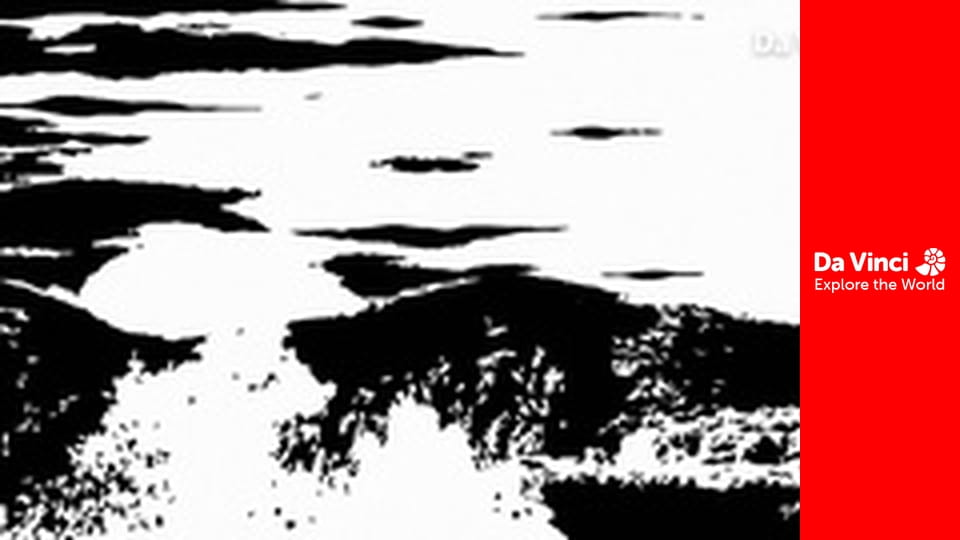 Cubs - Iberian-Lynxes