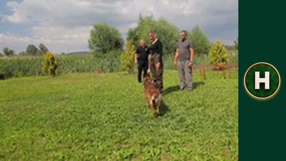 Знають навіть діти