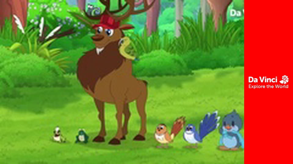 Дарвин и Ньютс - Исчезли утки