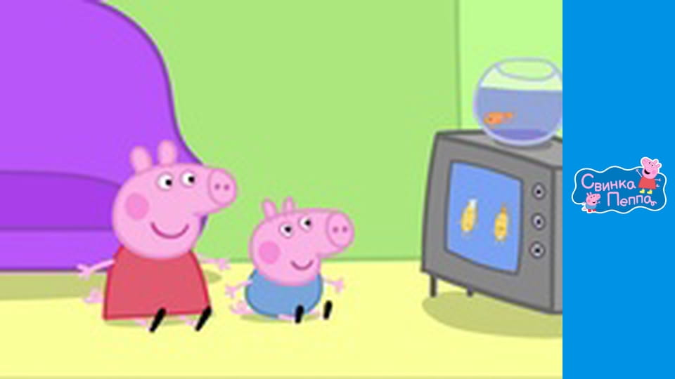 Dad lost his glasses