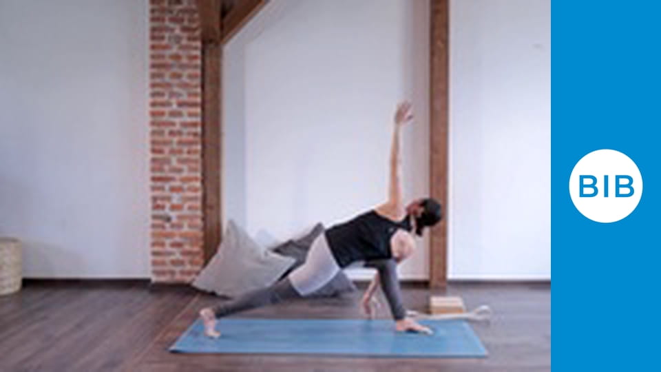 Quantum Yoga Master Sequence Capricious Shiva