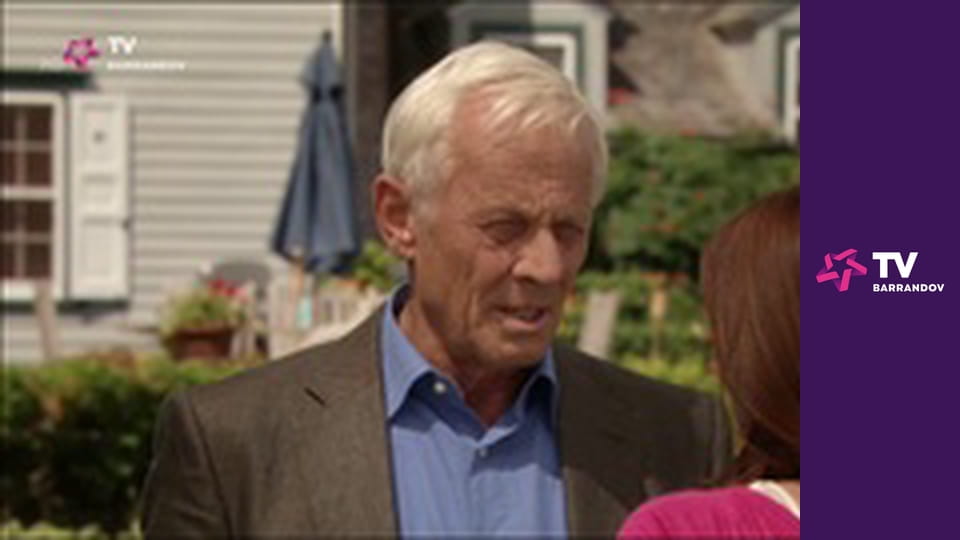 Katie Fforde: Léčitelka koní