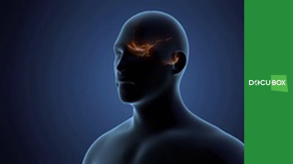 Wspaniały świat S1E1