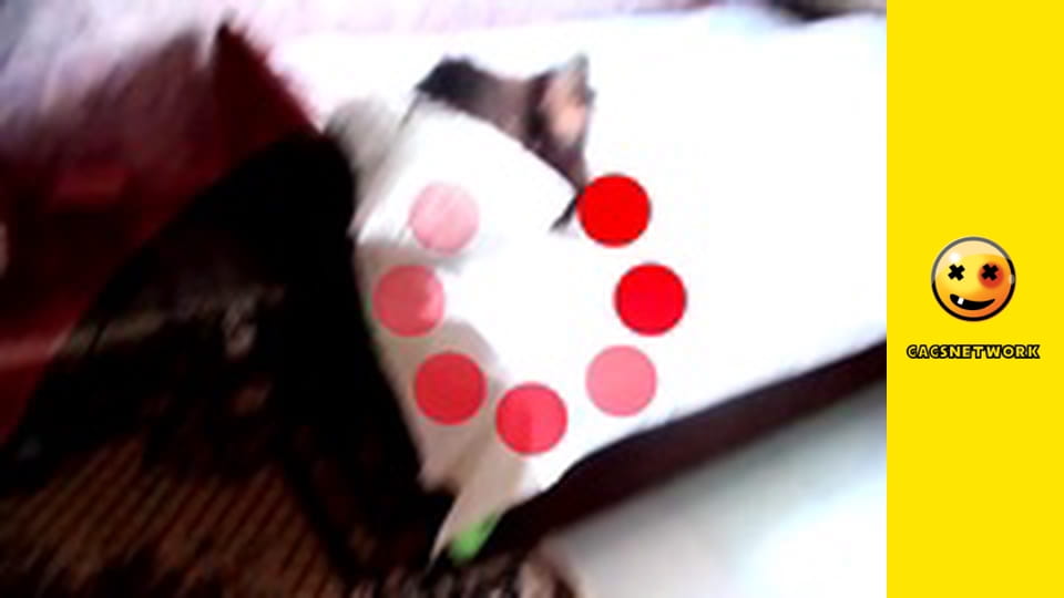 2Rude4UTube, 36 еп.