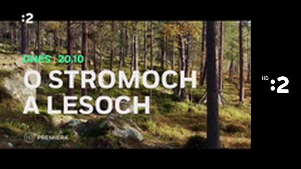 Zázračný miniateliér E88 - Ako mušketieri