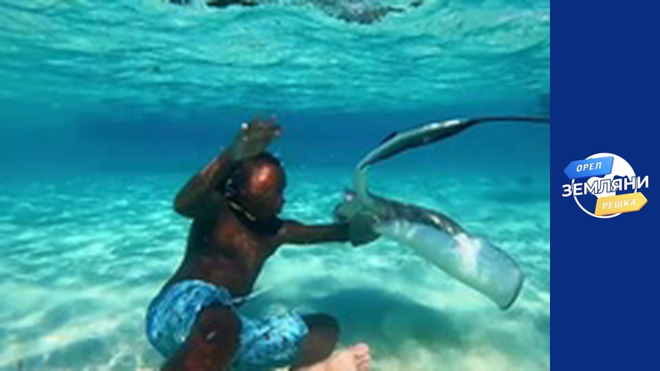 Сезон 2, Випуск 3