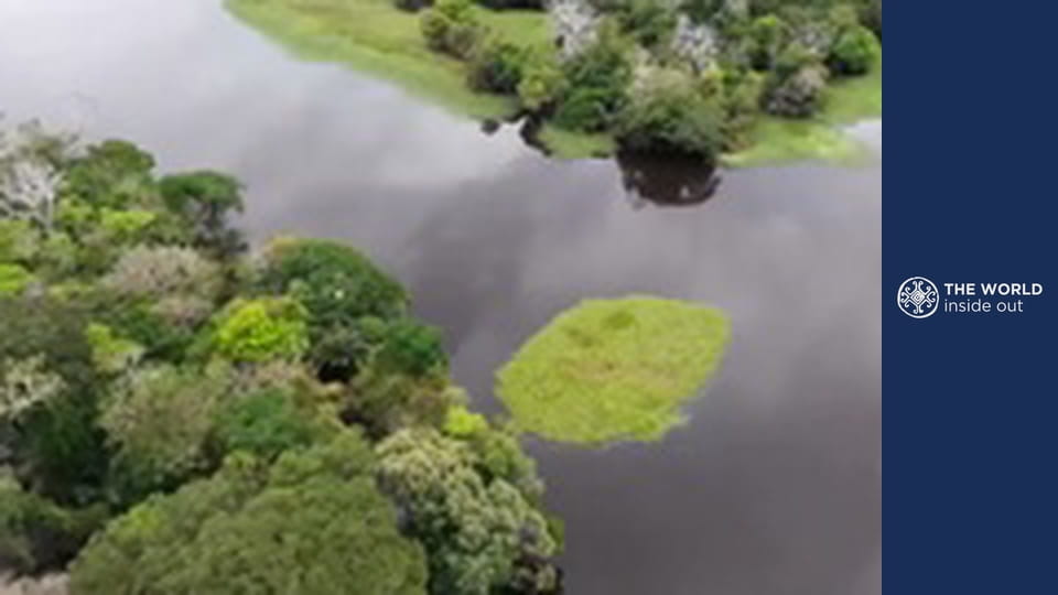 Extreme fishing and victims of pirates. Brazil.