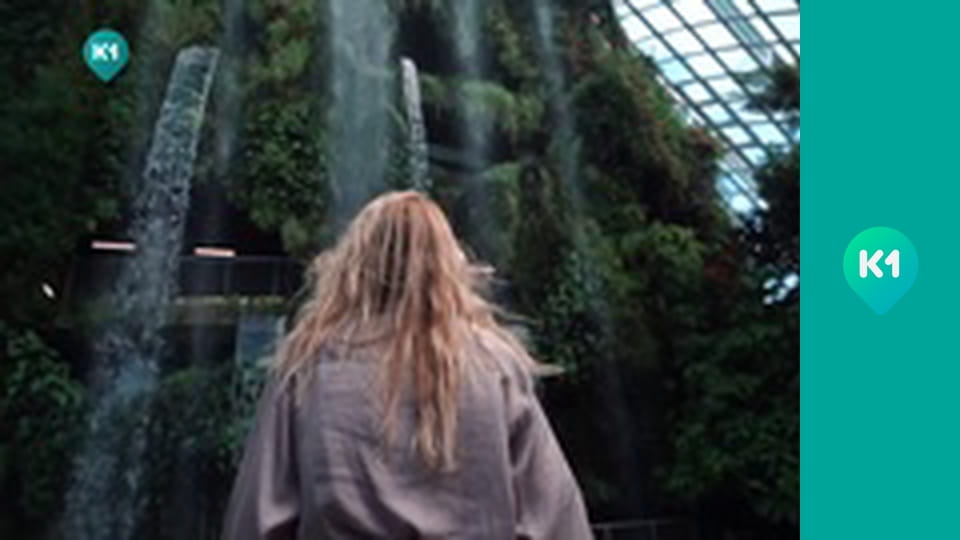 "Пригоди з Яною Метьолкіною".