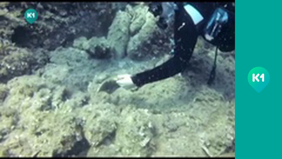 "Орел і Решка. Дайджест".